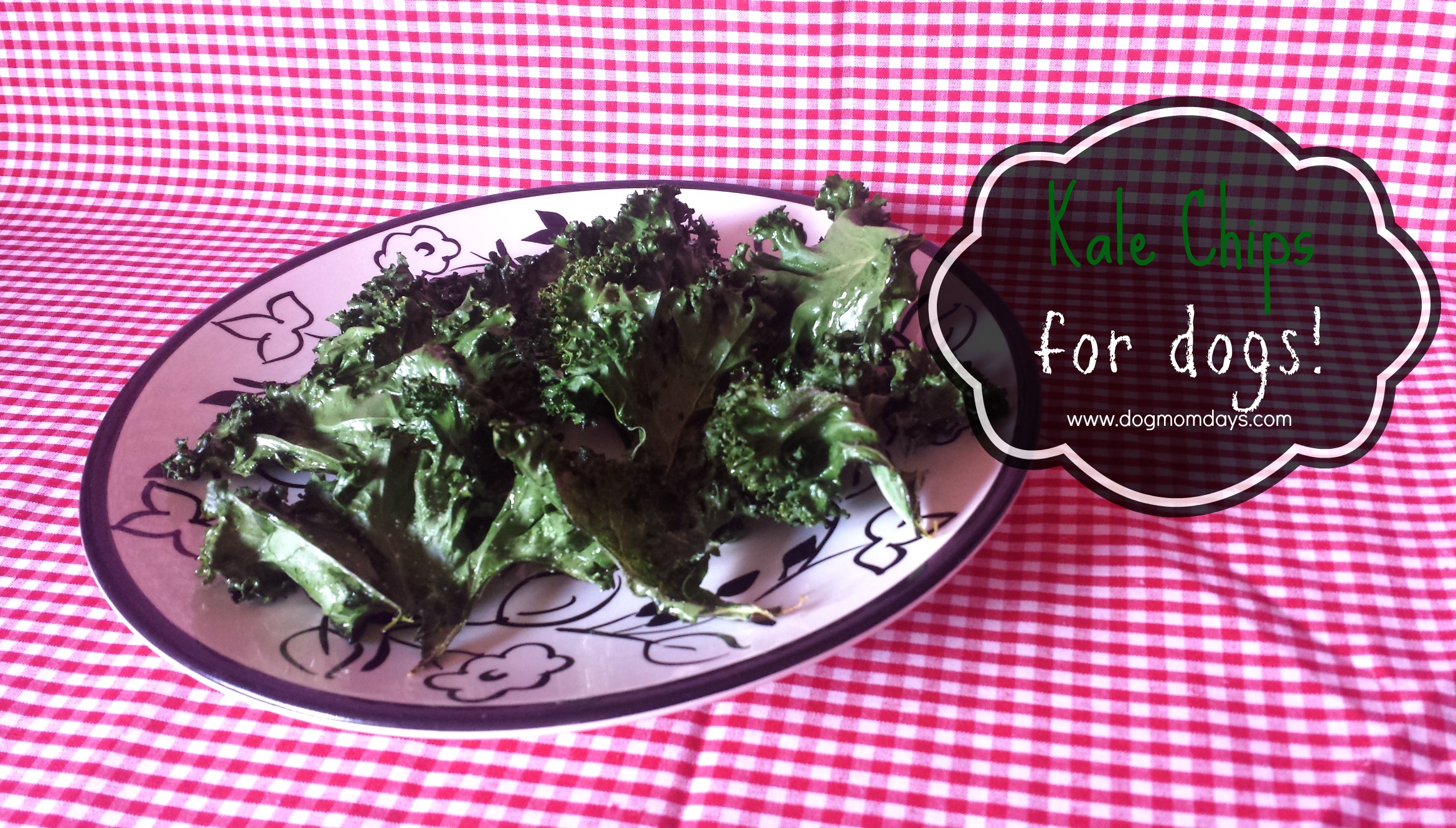 homemade kale chips for dogs