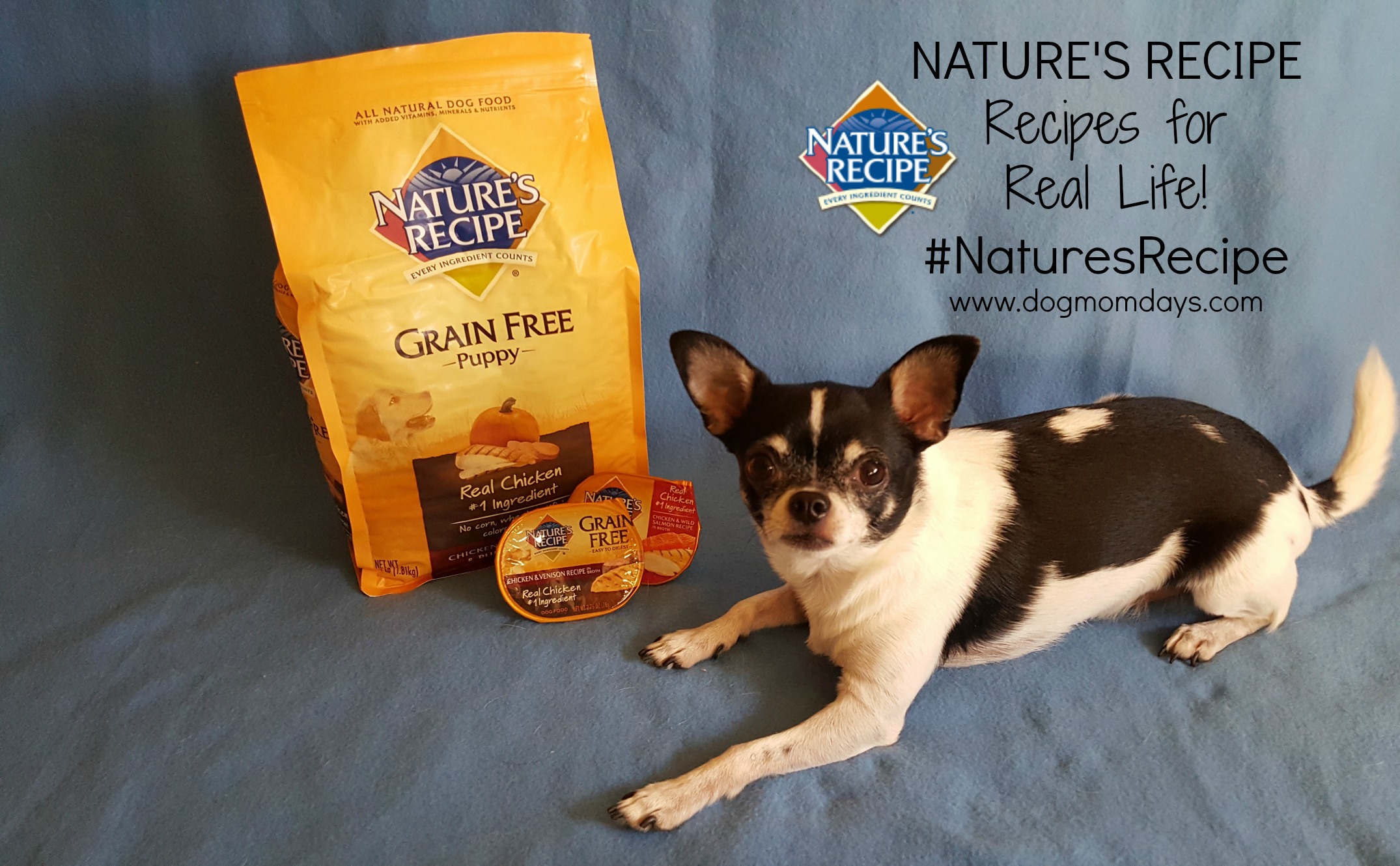 Nature's Recipe dog food #NaturesRecipe