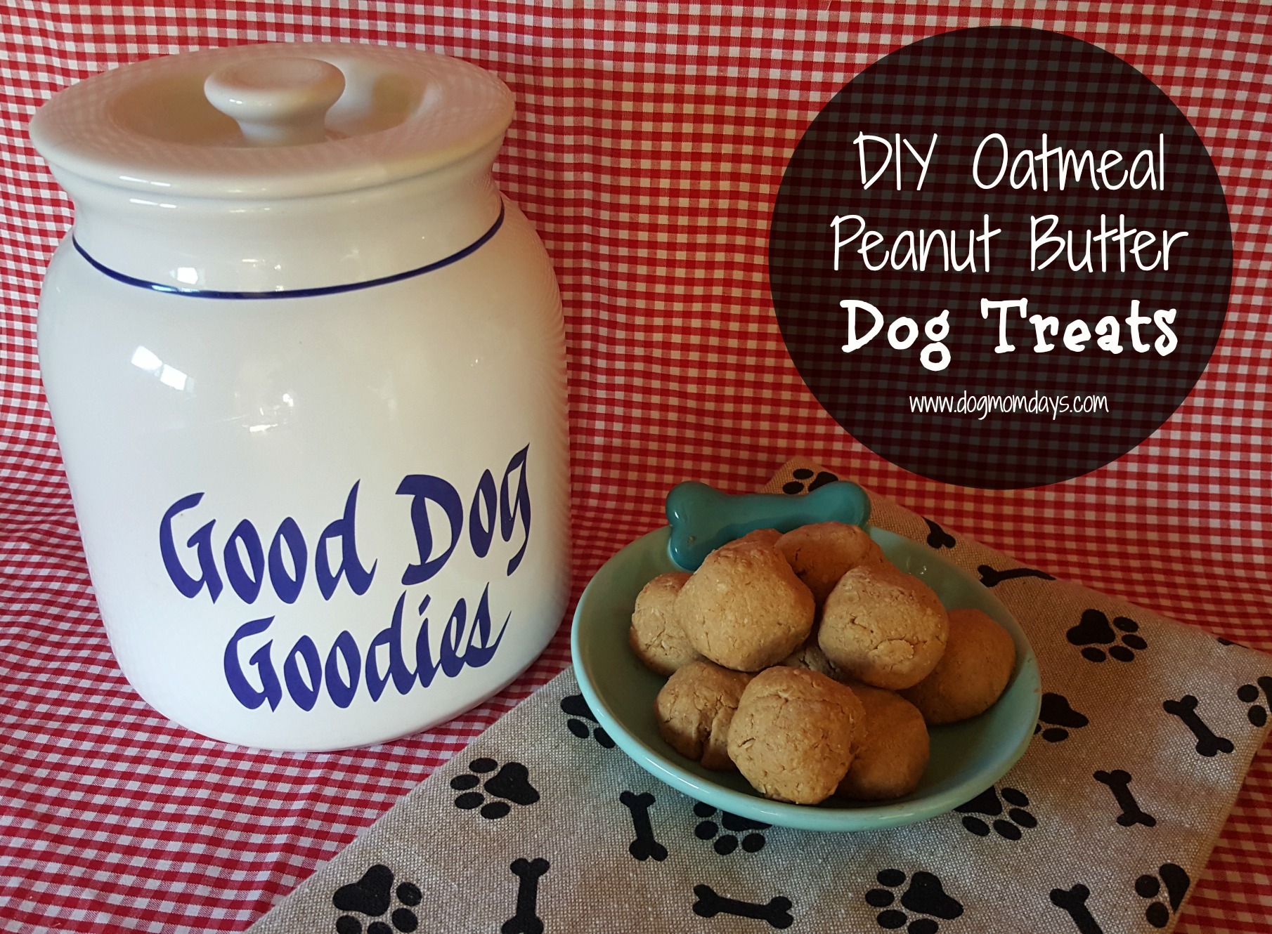 homemade oatmeal peanut butter dog treats