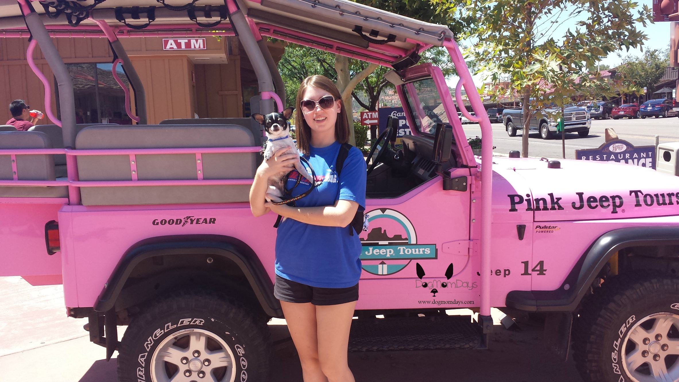 Pink Jeep Tours dog friendly