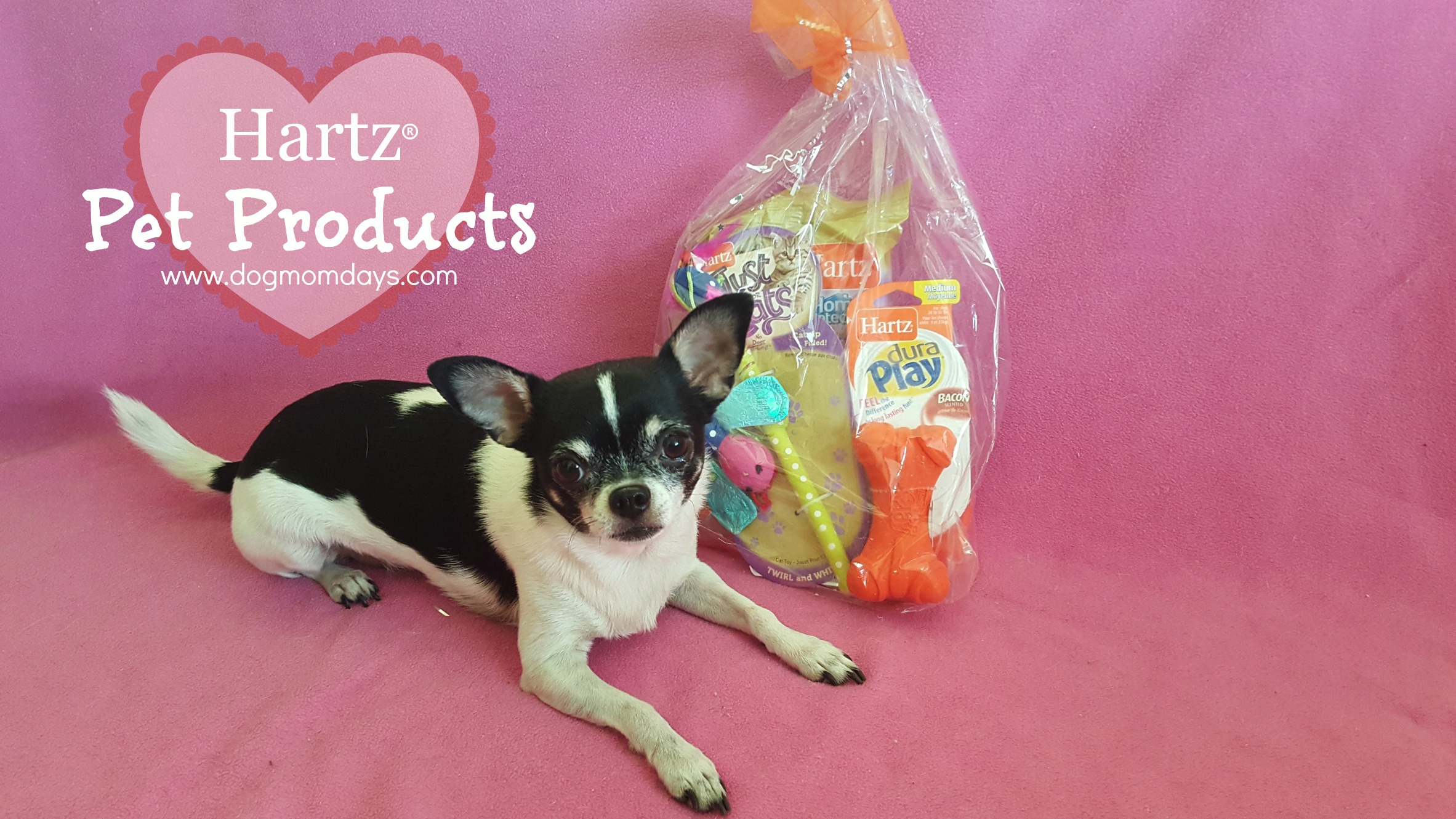 Hartz Pet Products