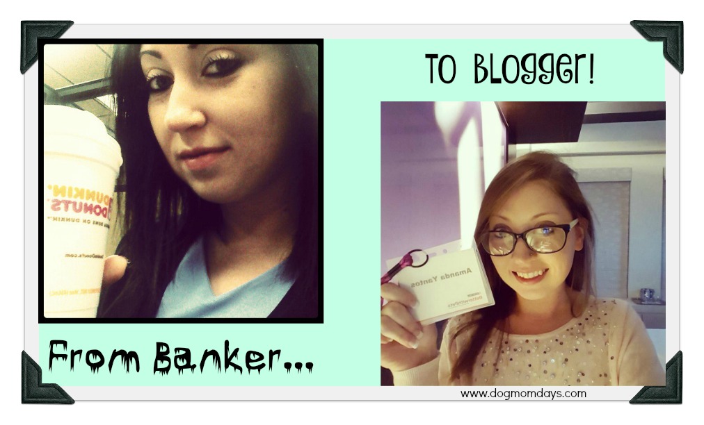 From banker to blogger