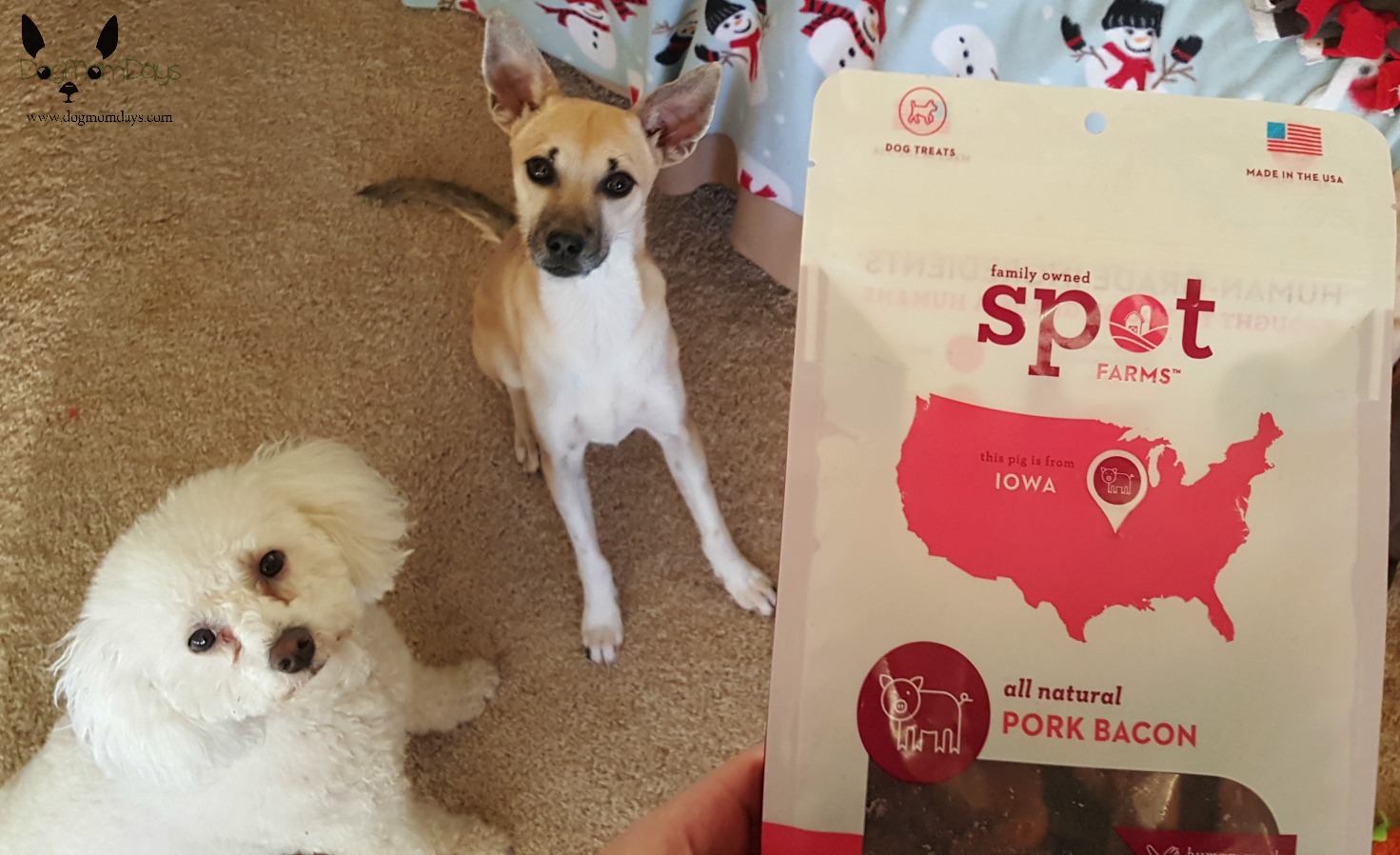 Spot Farms Dog Treats