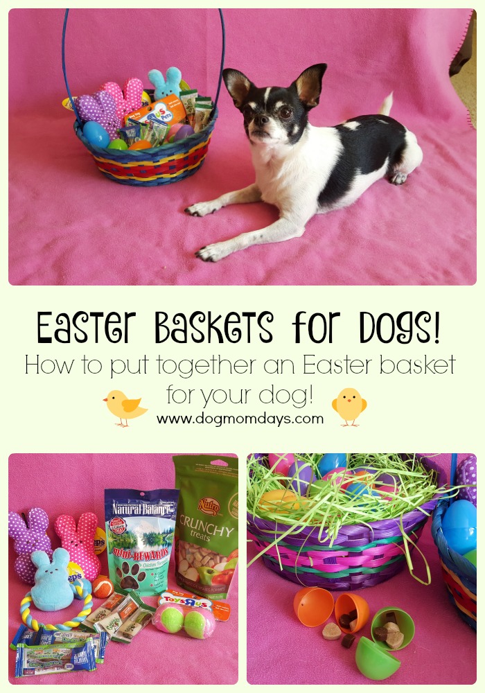 How to put together an Easter basket for your dog