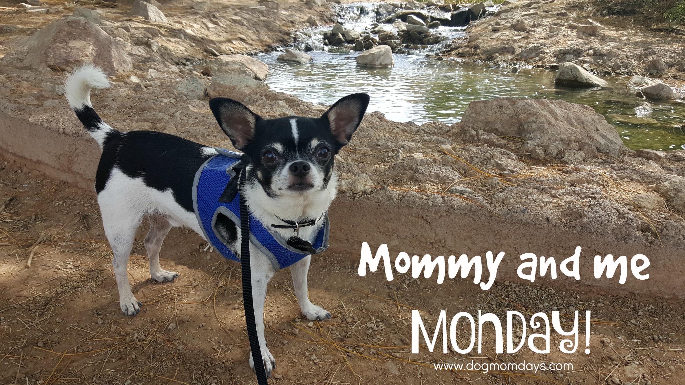 Mommy and Me Monday