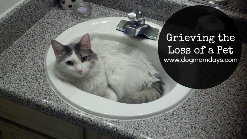 Grieving the loss of a pet