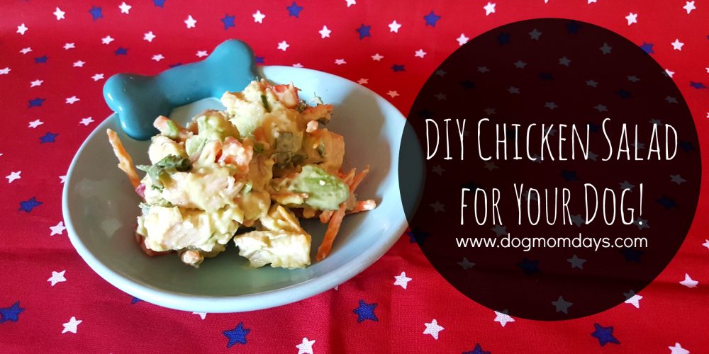DIY chicken salad for dogs
