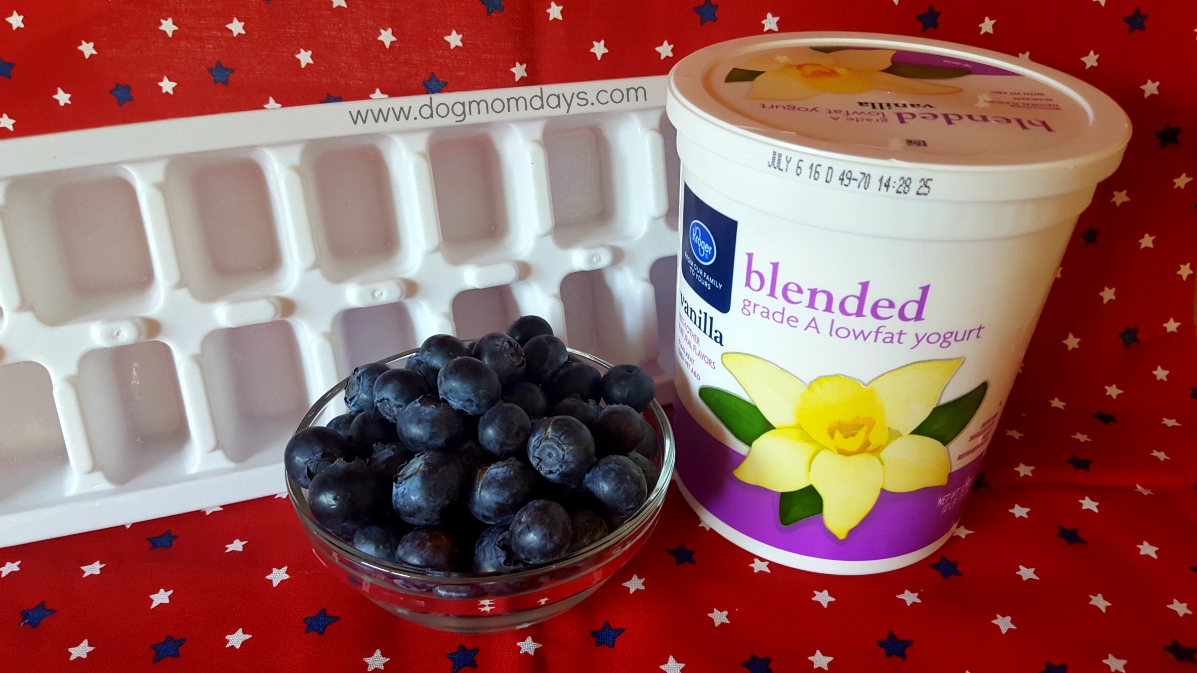 DIY blueberry frozen yogurt dog treats