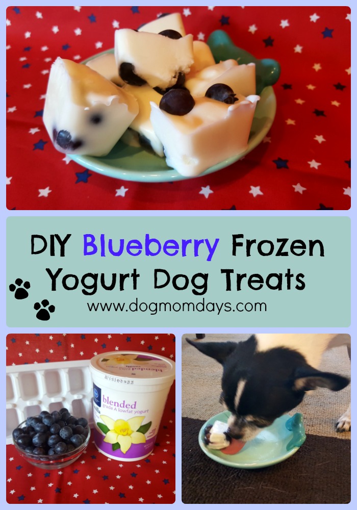 DIY blueberry frozen yogurt dog treats