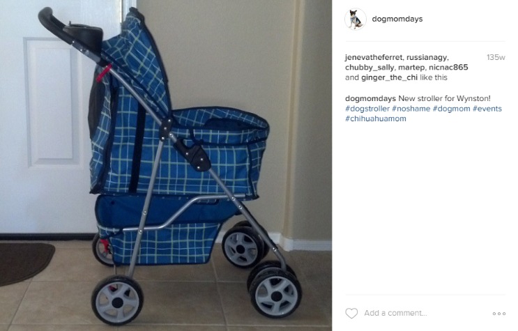 the benefits of using a dog stroller