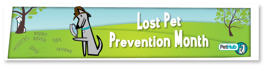 Lost Pet Prevention Month