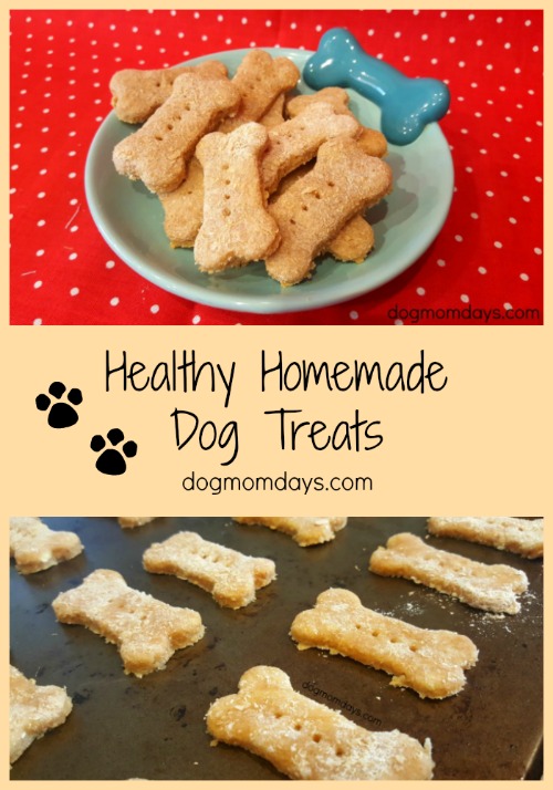 healthy homemade dog treats