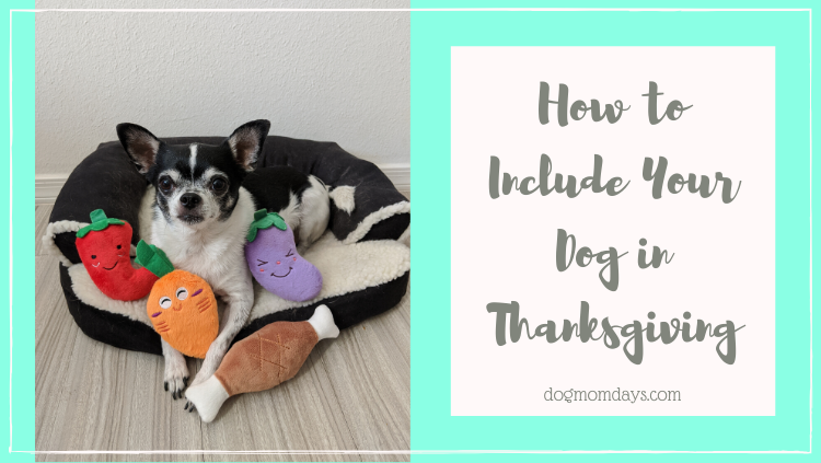 how to include your dog in Thanksgiving