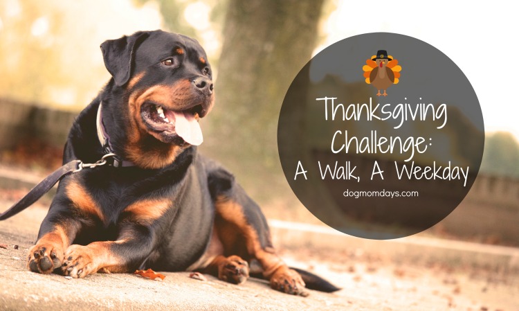 Thanksgiving challenge