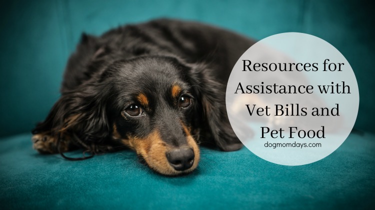 assistance with veterinary bills