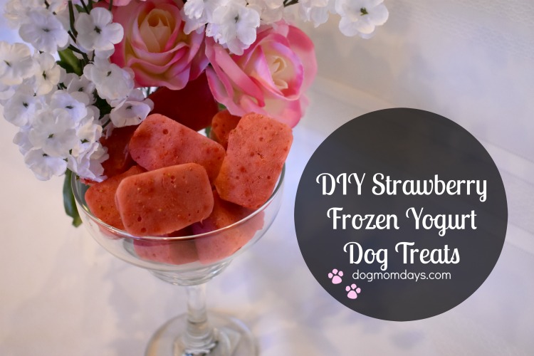 frozen yogurt dog treats