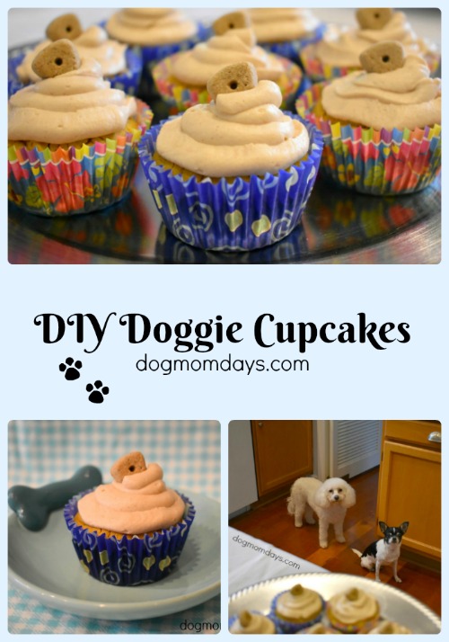 DIY doggie cupcakes
