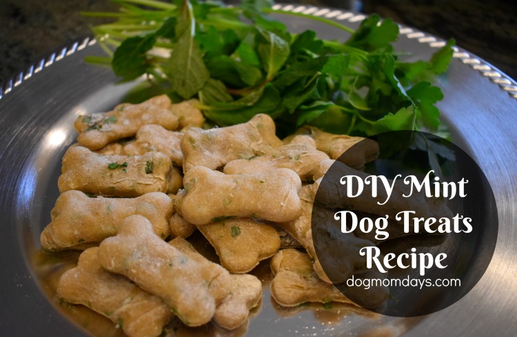 homemade mint dog treat recipe