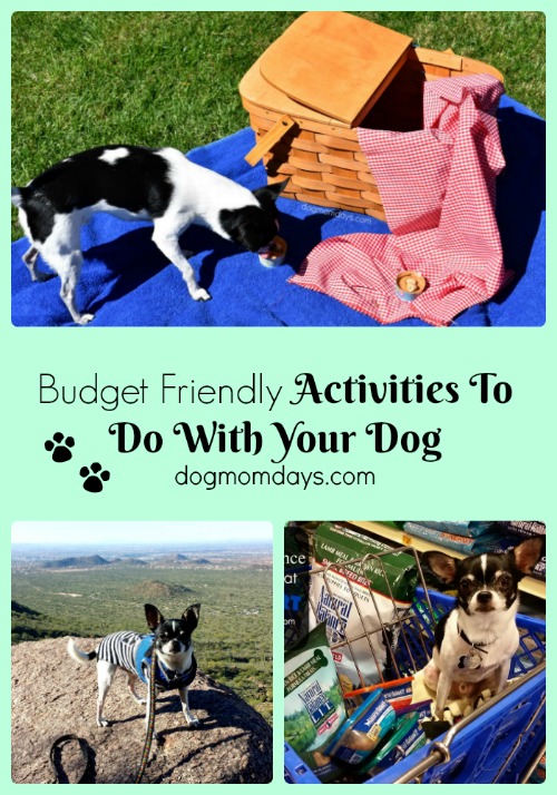 budget friendly activities to do with your dog