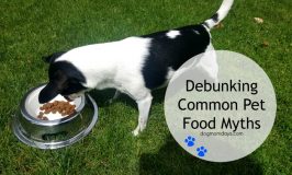 debunking pet food myths