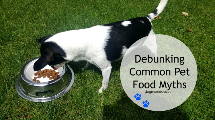 debunking pet food myths