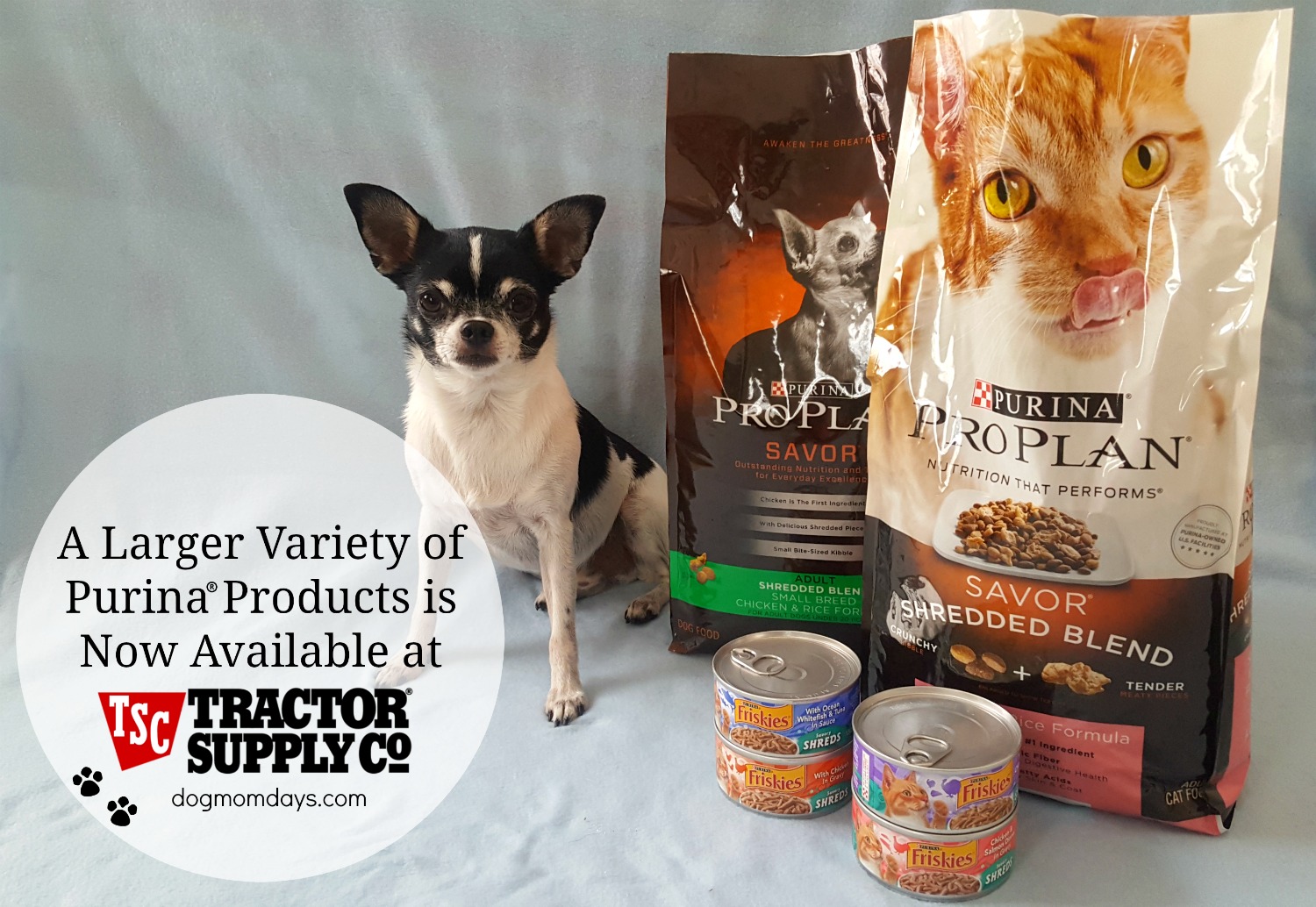 Purina Products available at Tractor Supply