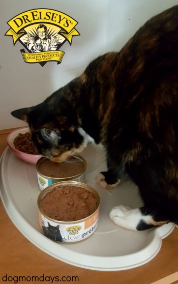 Dr. Elsey's cleanprotein cat food review