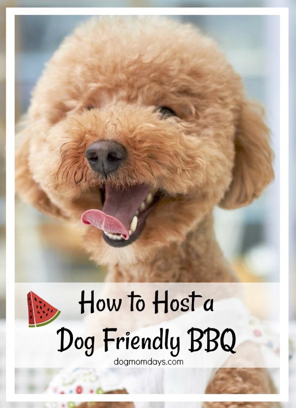 how to host a dog friendly BBQ