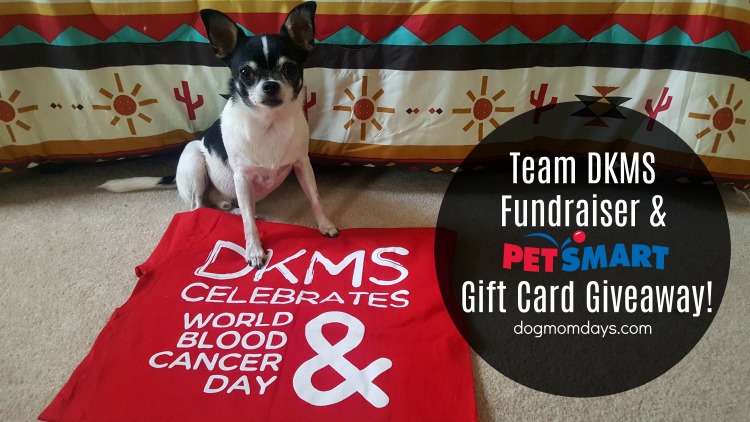 Team DKMS fundraiser and giveaway