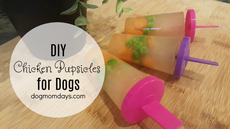 DIY chicken pupsicles for dogs