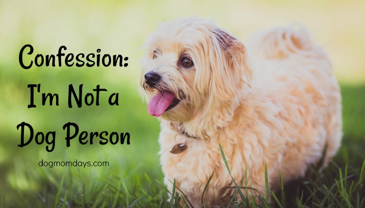 Confession: I'm Not a Dog Person - Dog Mom Days