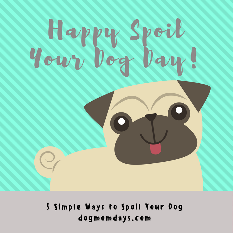 Spoil Your Dog Day