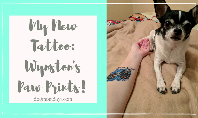 Wynston's paw prints
