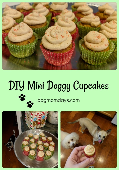 DIY mini doggy cupcakes