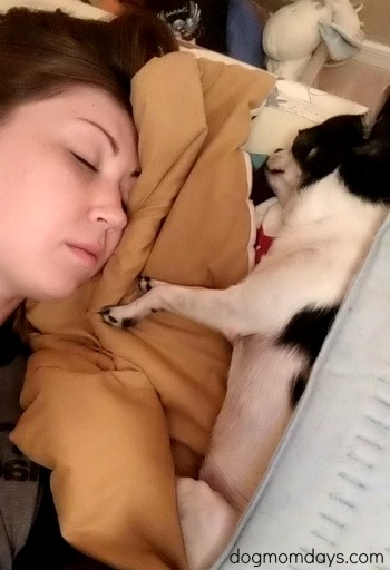 benefits of sleeping with a dog
