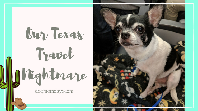 Our Texas Travel Nightmare