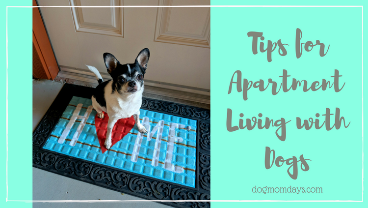 tips for apartment living with dogs