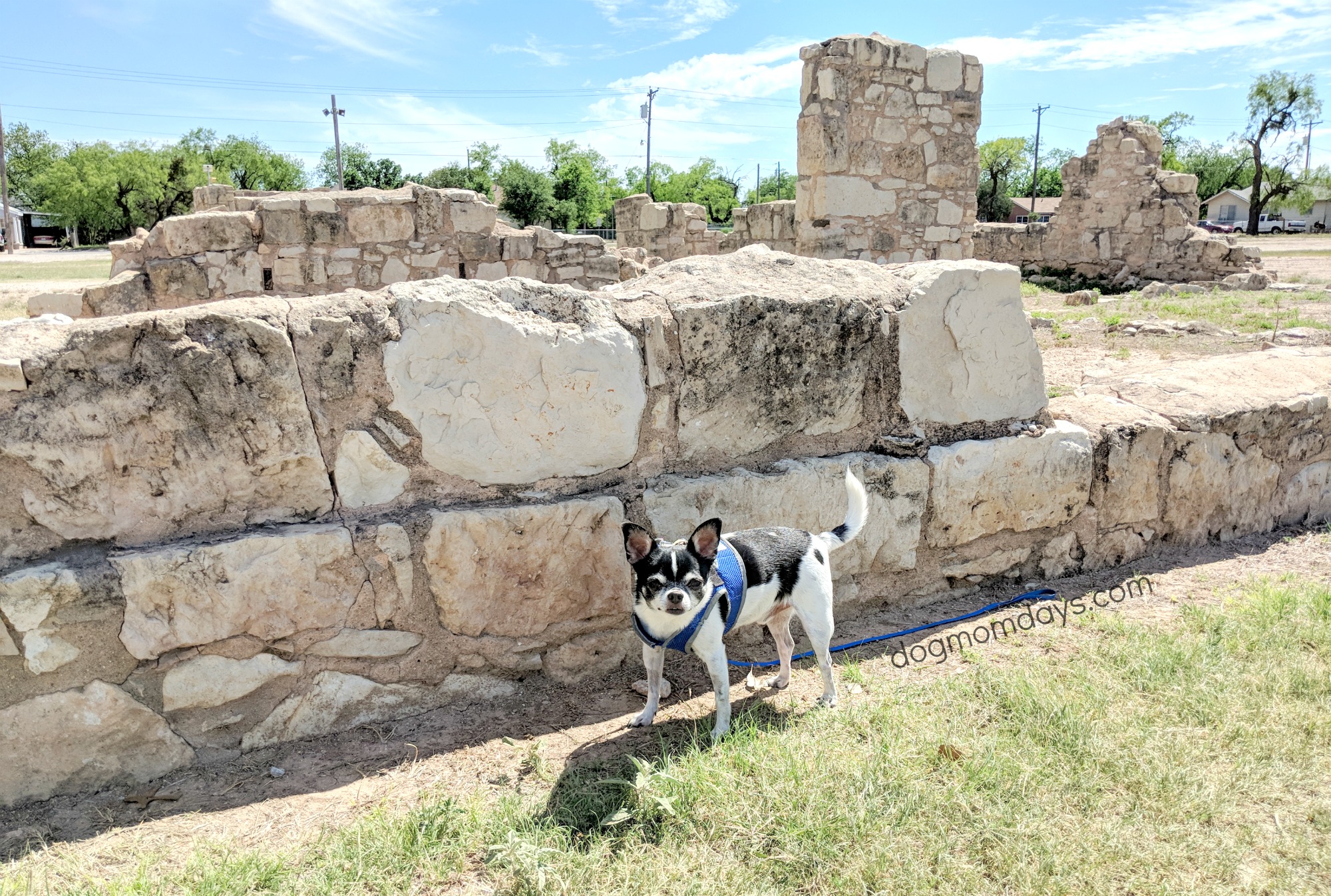 Dog-friendly Fort Concho