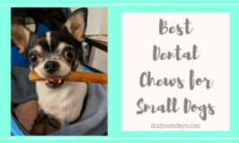 Best dental chews for small dogs
