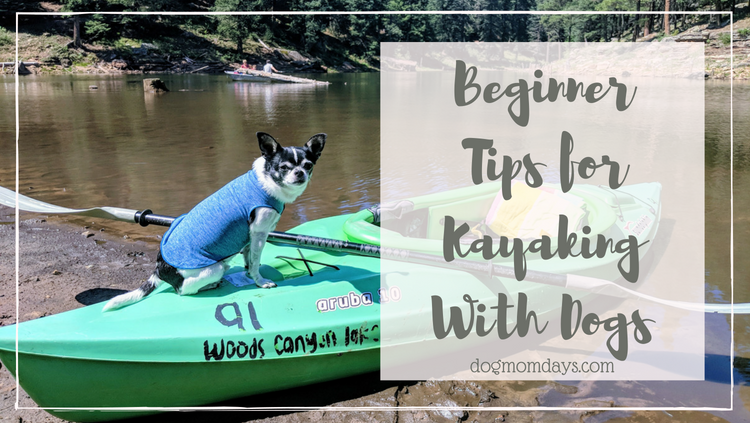 beginner tips for kayaking with dogs