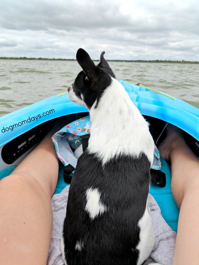 dog-friendly Lake Nasworthy