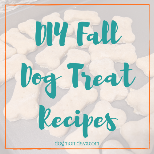 DIY fall dog treat recipes