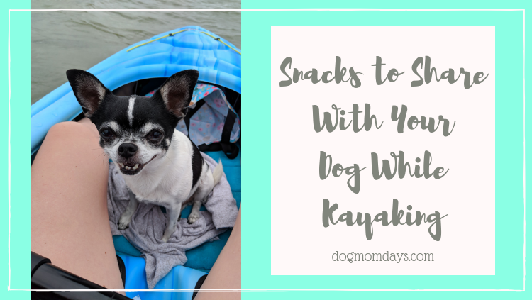 snacks to share with your dog while kayaking