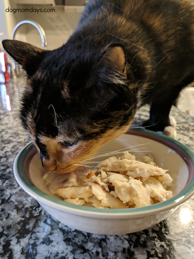 NomNomNow dog and cat food