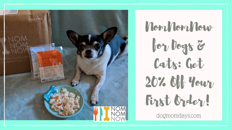 NomNomNow fresh food for dogs and cats