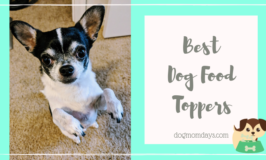 best dog food toppers