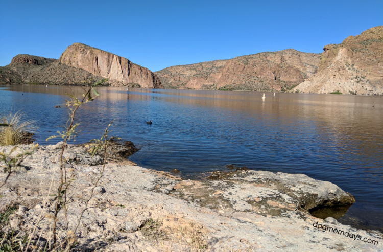 dog-friendly Canyon Lake, AZ