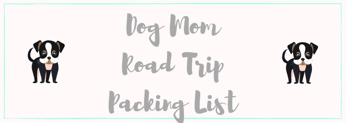 snacks to share with your dog on a road trip