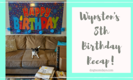 Wynston's 8th Birthday