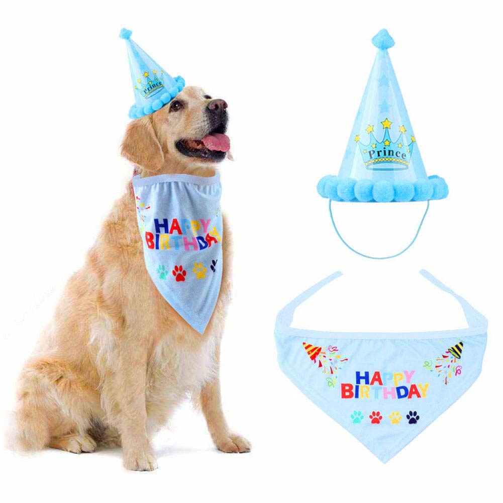 7 Woof Approved Dog Birthday Gift Ideas Dog Mom Days
